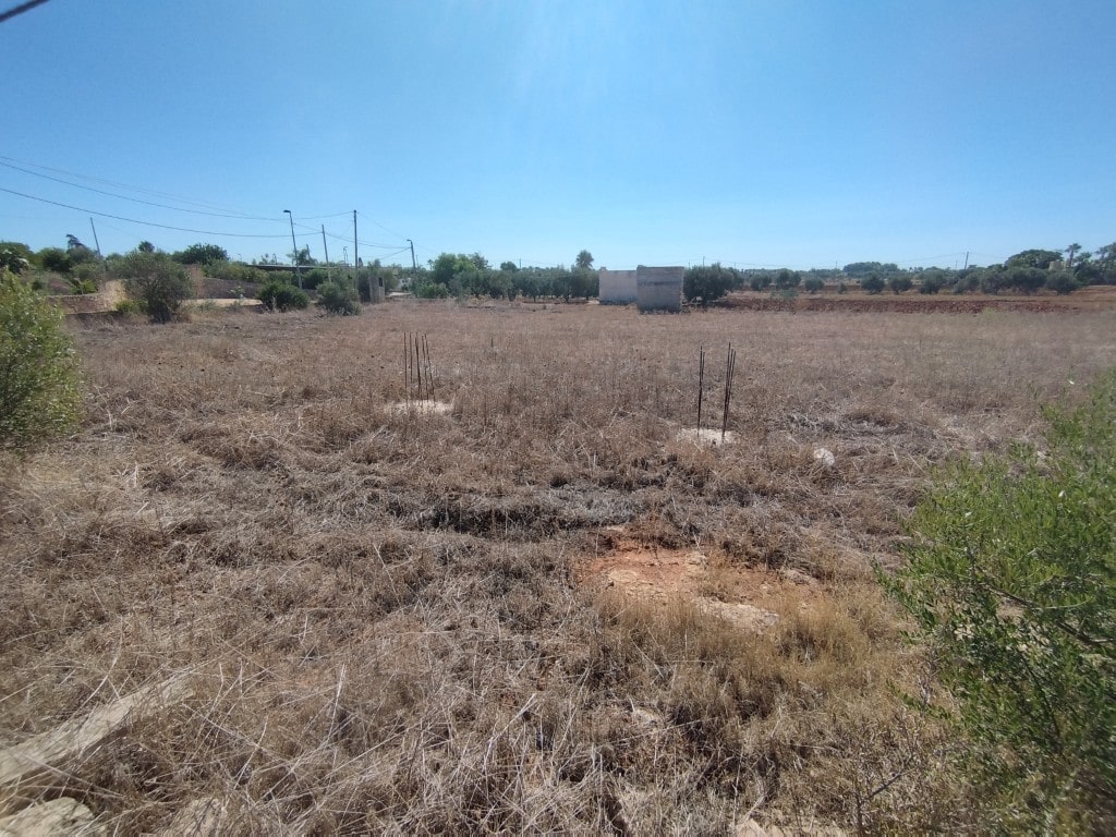 Giano Group Immobiliare